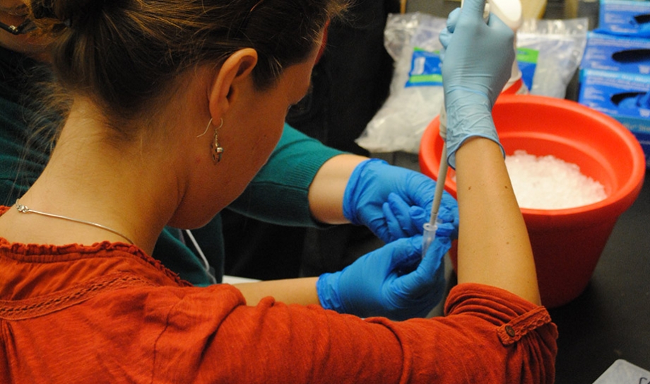 students in a lab