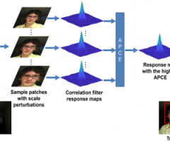 SITUP: Scale Invariant Tracking using Average Peak-to-Correlation Energy