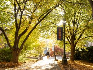 View of a walkway with trees and a lightpost with a banner that reads "Engineering"