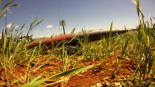 Top section and nose cone of a rocket lying in the grass